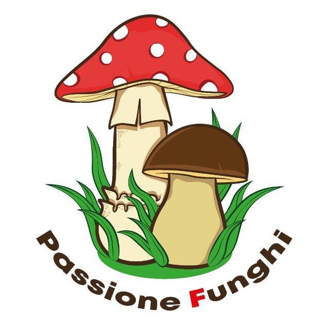 Passione Funghi